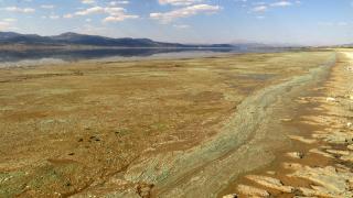 Burdur Gölü'nde 'alg' patlaması: Suyun rengi değişti