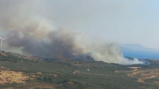 İzmir'de tarım arazisinde yangın