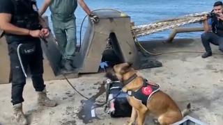 Tekirdağ Limanı'nda 242 kilo kokain ele geçirildi