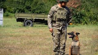 TSK'nın keşif köpekleri operasyon bölgelerinde görev alıyor