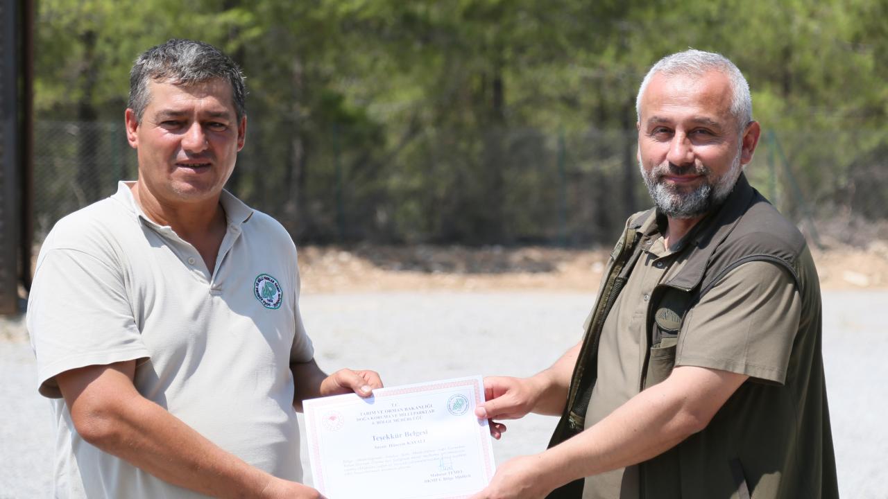 Bu yılki yavru sayısı 30