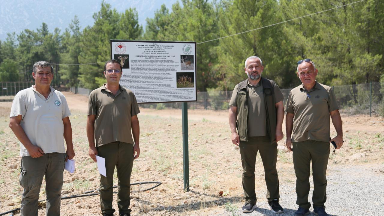 Avlanması yasak, cezası ağır