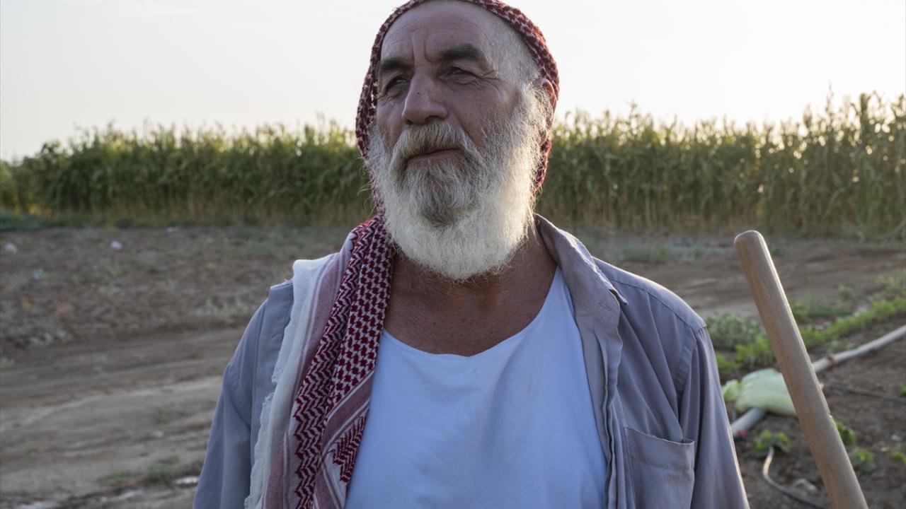 Irak’ta kimsenin kimseden haberi olmadığına, ülkede her gün gösteriler düzenlendiğine dikkati çeken Ali Hudada "Irak hükümetinin kamplarda kalan sığınmacılardan da haberdar olmadığını" savundu.  Ezidi kamp sakini Hudada, sözlerini şöyle tamamladı:  "Hüküm