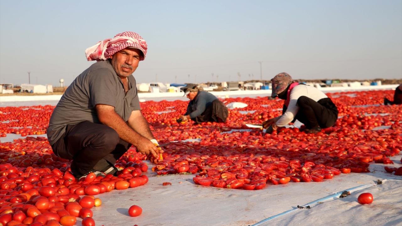 "Alım garantisi olduğu için büyük bir avantaj"