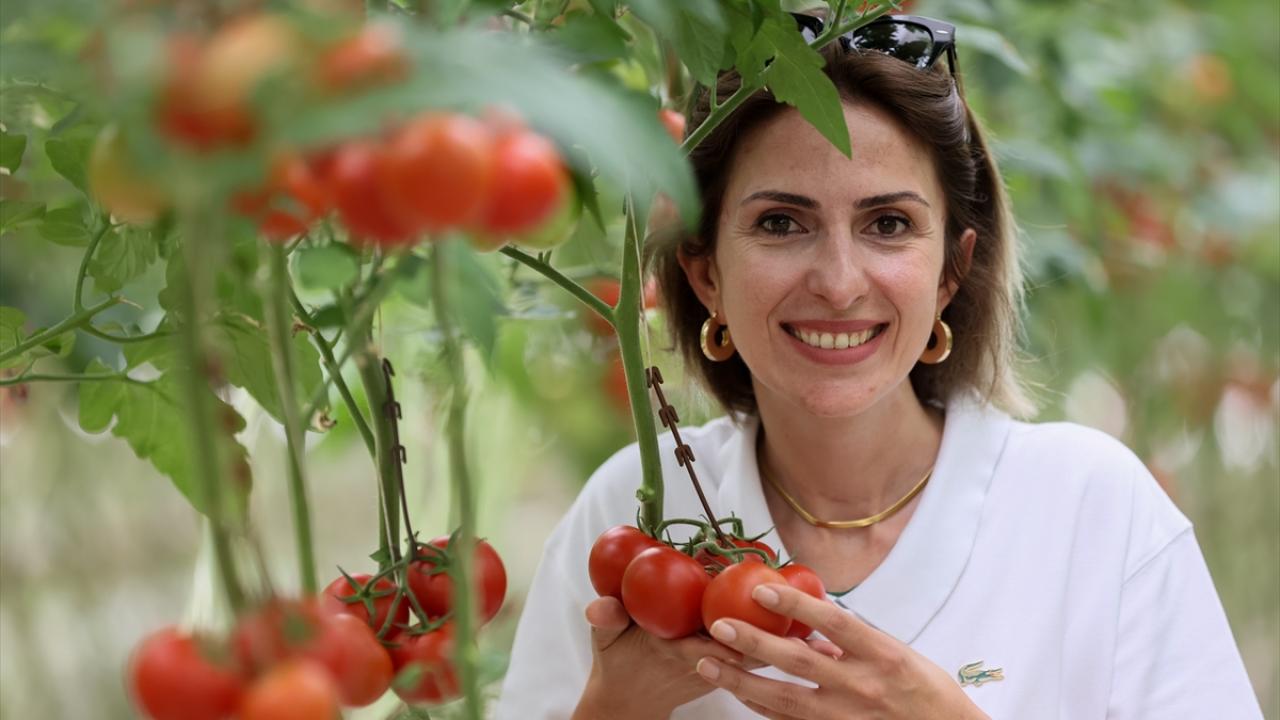 "Kömüre kıyasla ısıtma giderlerini yaklaşık yüzde 80 azaltıyorsunuz"