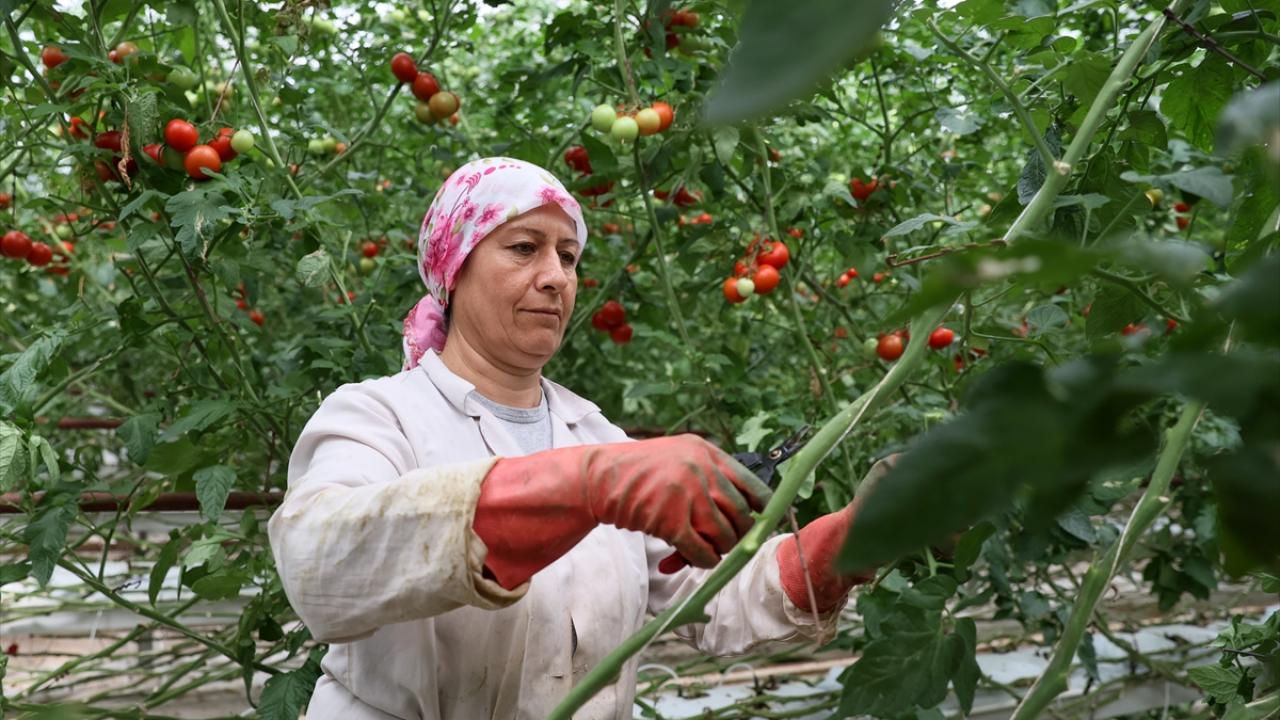 "Türkiye, jeotermal enerjide ilk beş ülkeden biri"