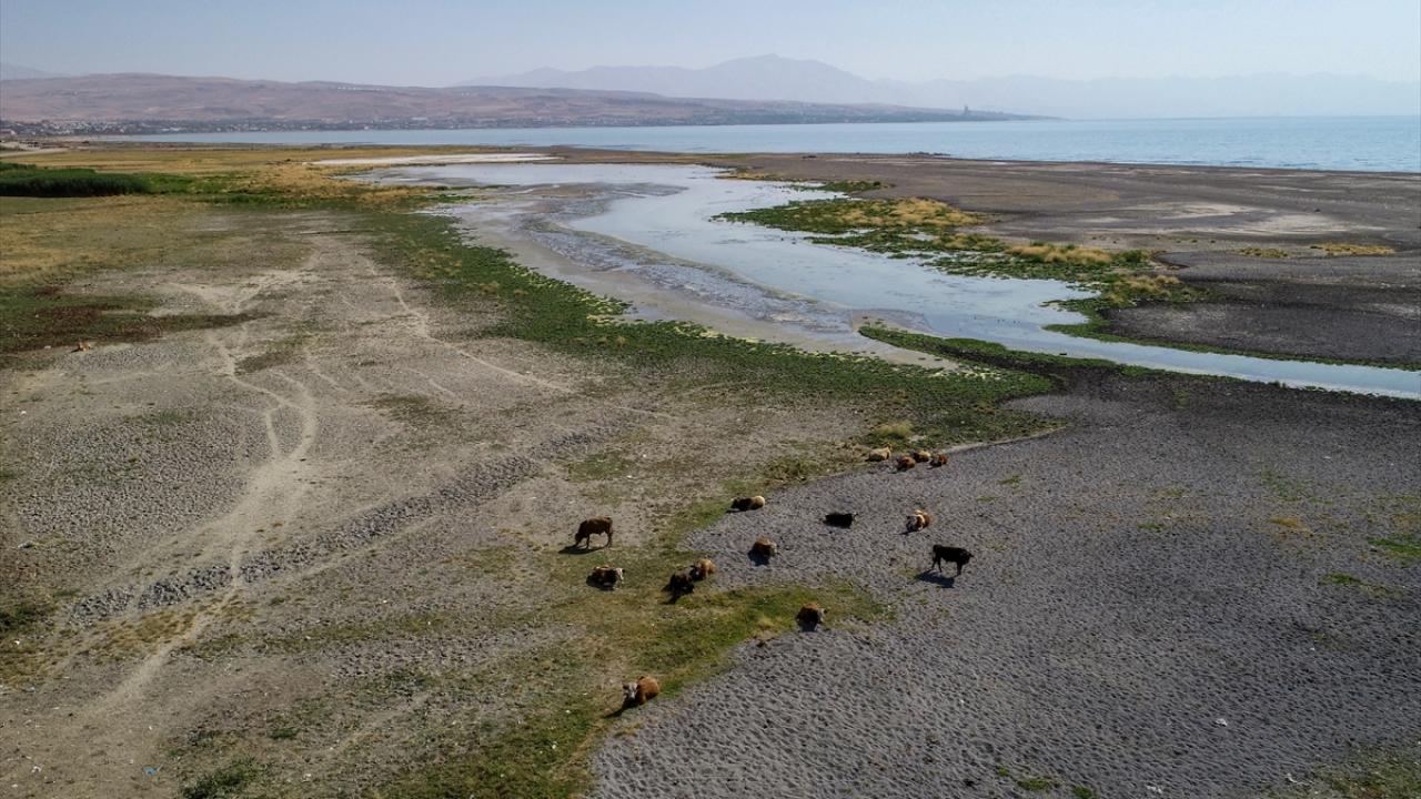"Van Gölü artık daha temiz kalacak"