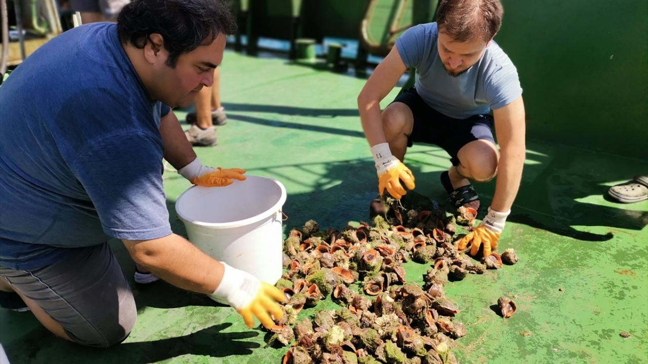 "Örnekleri farklı derinliklerden alıyoruz"