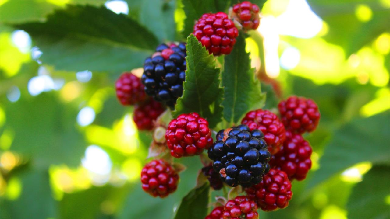 "Eşim çok güzel bir şeyi başardı"