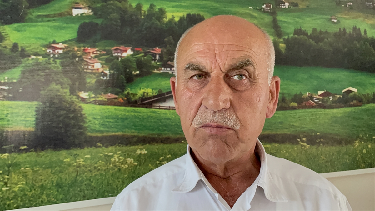 Ovadaki bütün ayçiçeği tarlaları ilaçlanacak