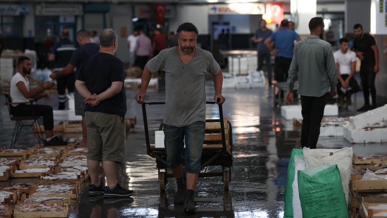 "Norveç ve Danimarka`nın çeşitliliği yok. Bizim artımız var"