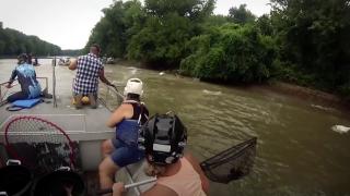 ABD'de balık yakalama yarışması düzenlendi