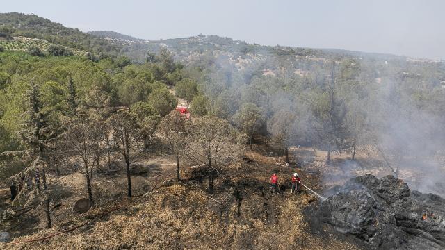 Mersindeki orman yangını kısmen kontrol altına alındı: Müdahale sürüyor