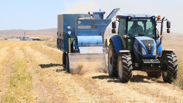 Yozgatta yeşil mercimekten 20 bin ton rekolte bekleniyor