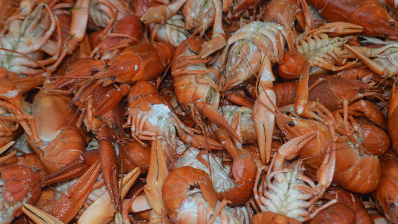 "Sürdürebilirlik sorunu var"