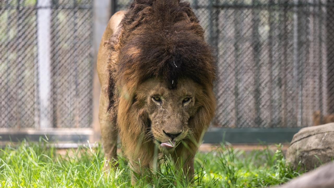 "Ekolojik ilişkilerdeki kırılmalar dengeyi bozar"