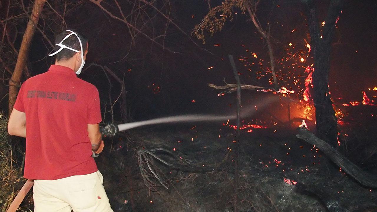 Balıkesir'de meyve bahçesinde çıkan yangın söndürüldü