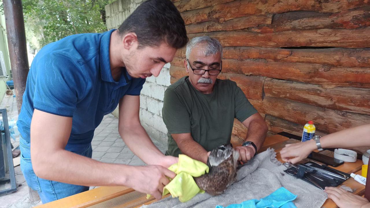 Tedavisi tamamlanan yeşilbaş ördek doğal ortamına bırakıldı