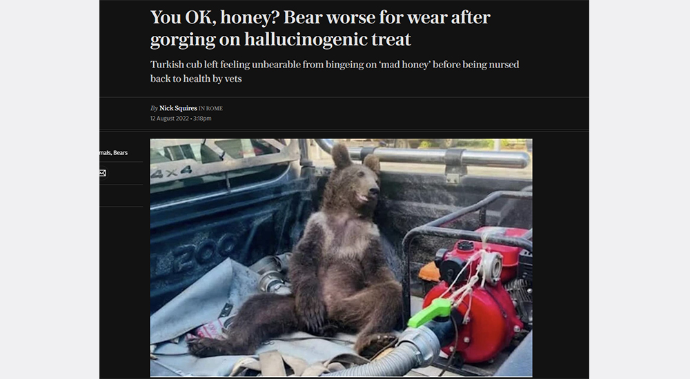 İYİ MİSİN BALIM?