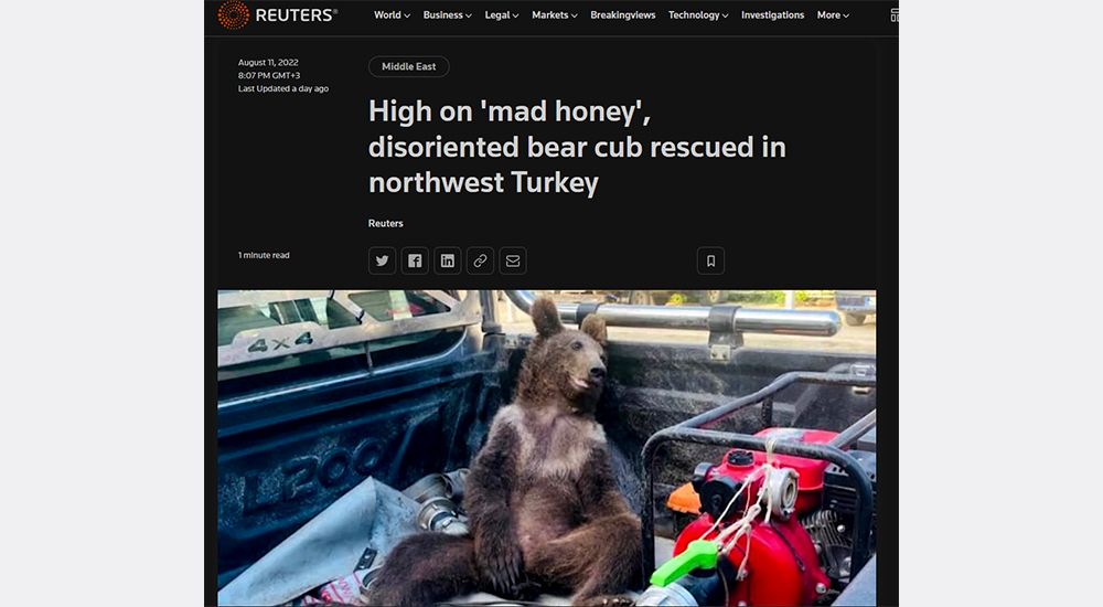 DELİ BALA DÜŞKÜN, KAFASI KARIŞMIŞ