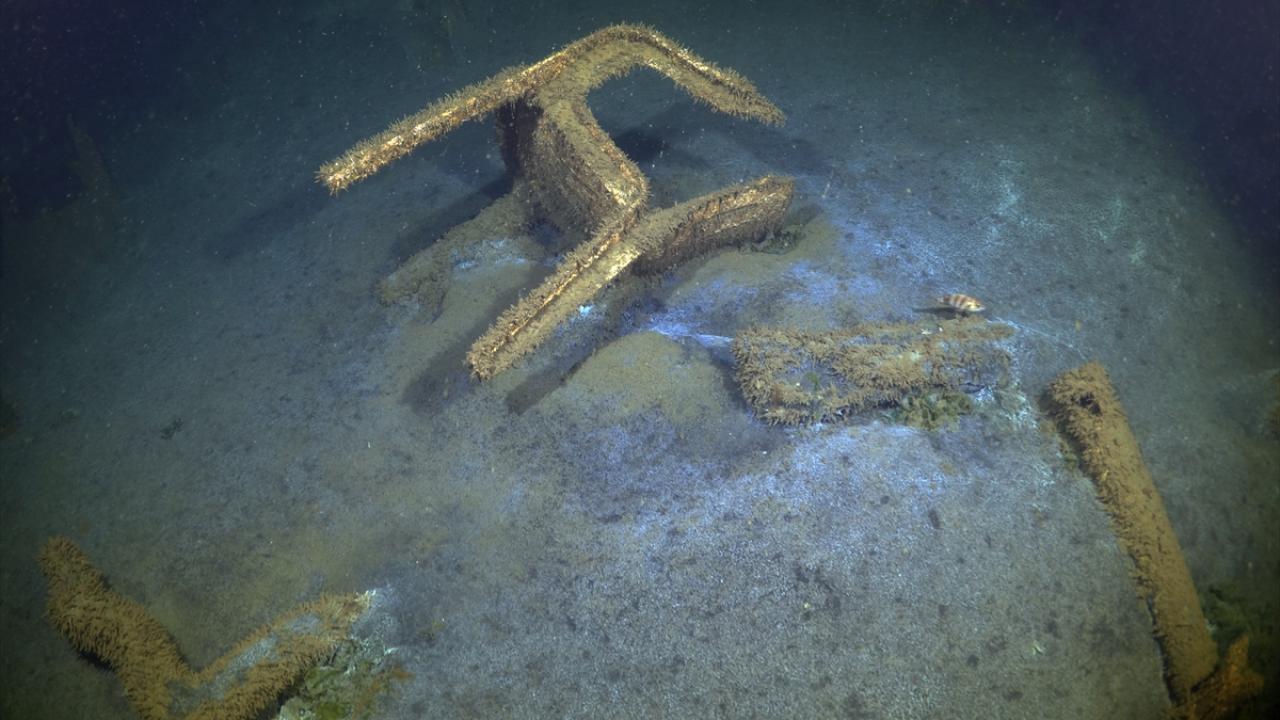 "Doğanın gücü, aşağıda olduğu gibi duruyor"