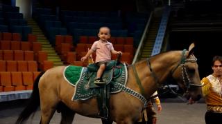 Türkmenistan'ın Ahal Teke atları