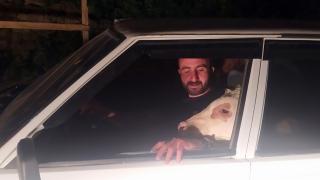 Depresyona giren buzağısını arabaya bindirip gezdirdi