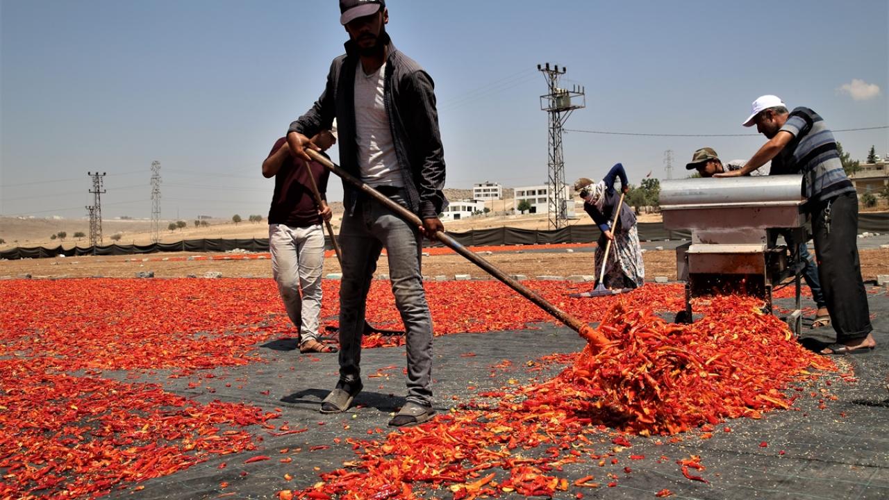 "İsotun acısıyla birlikte sıcaklığı 50 derece hissediyoruz"