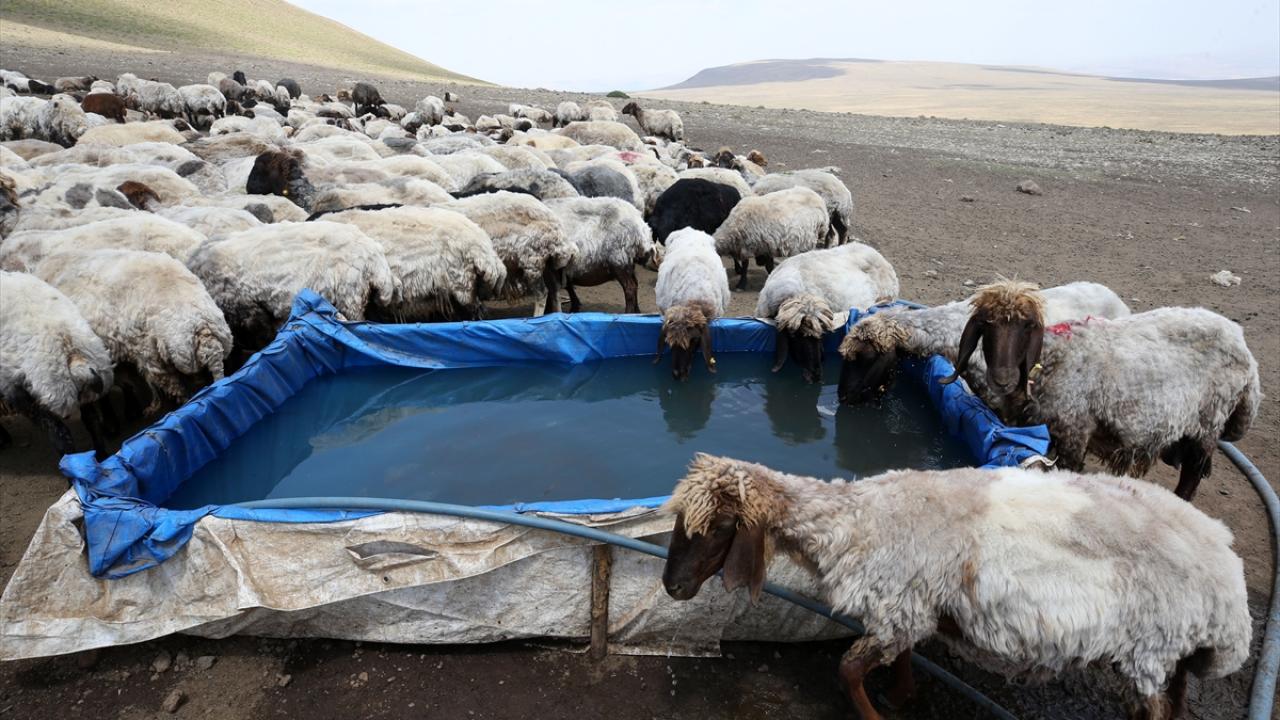 "Doğa ile iç içe yaşamak çok güzel"