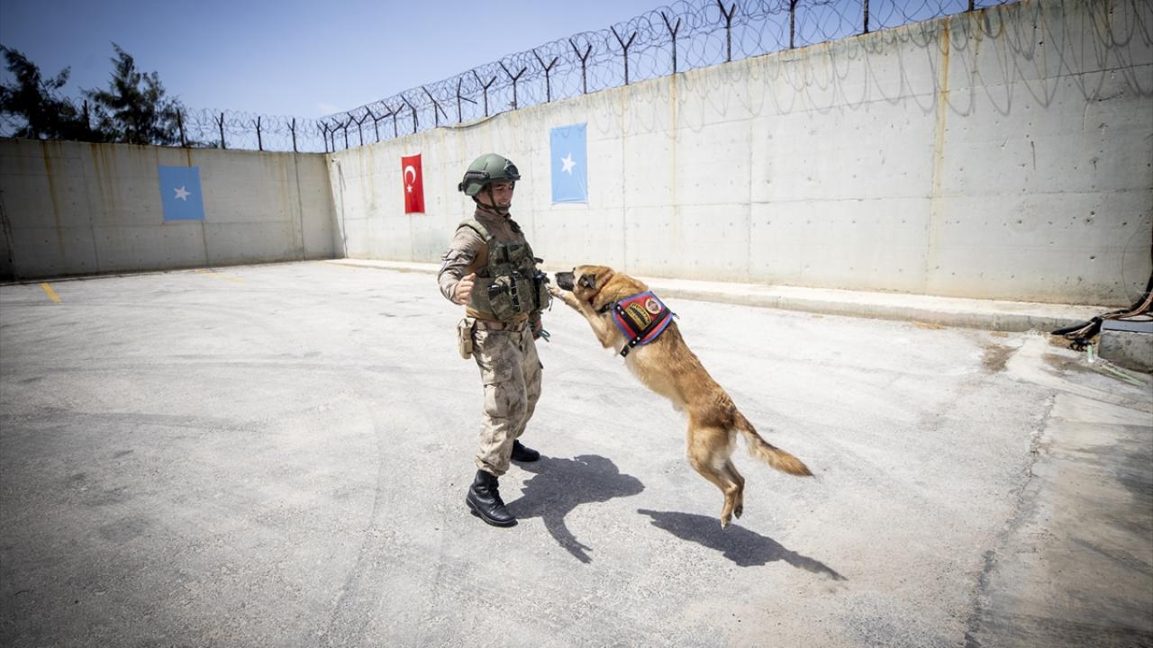 Ülkenin subay ve astsubayları burada yetişiyor