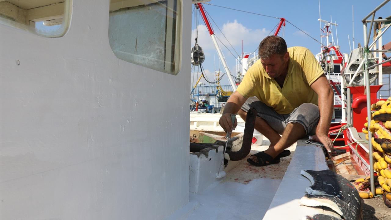 "Ucuz balık yedirmek istiyoruz"