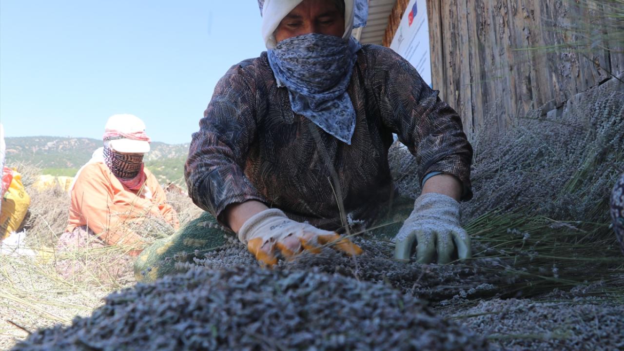 "Arap ve Afrika ülkelerinden de talepler almaktayız"