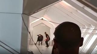 İsrail'de sahibinden kaçan boğa bankaya girdi