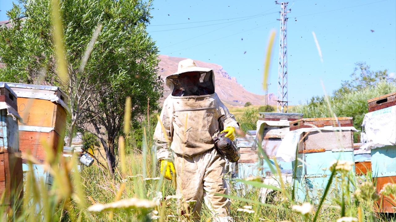 "Arıcılığı bırakmak gibi bir niyetim yok"