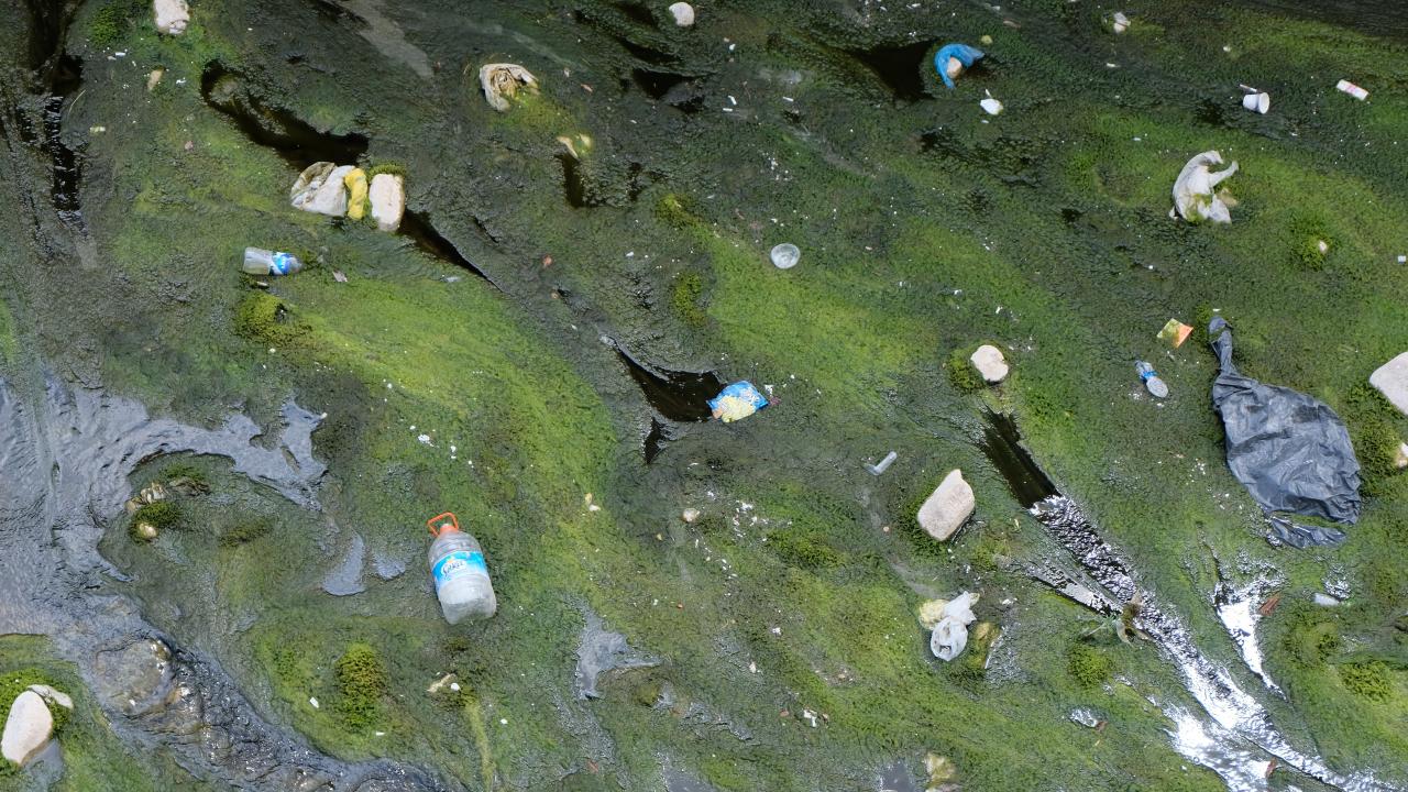 “Önceden balık vardı şu anda balık falan kalmamış”