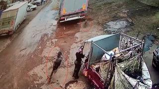 Köpekten kaçan çocuğa araba çarptı: O anlar kamerada