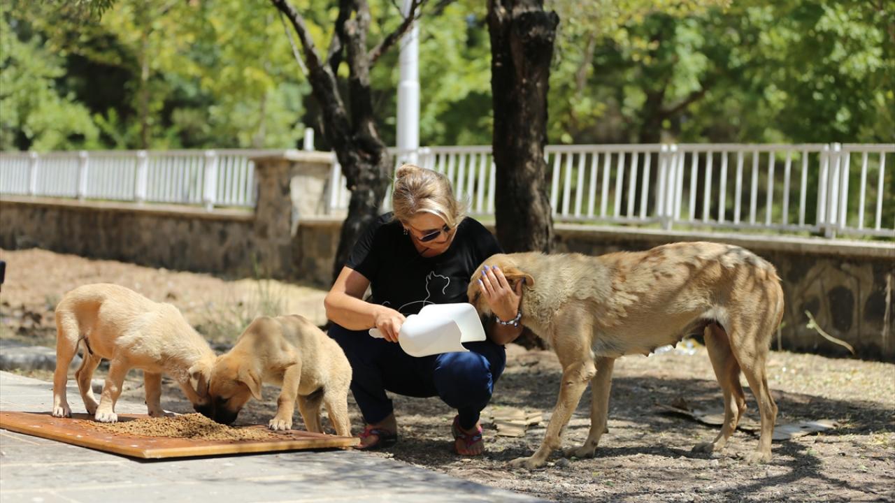 "Bir damla su için muslukların ağzını yalıyorlar"