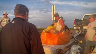 Dev bal kabağı ile rekor kırdı