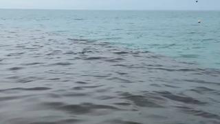 İngiliz kıyılarında denize pompalanan atık görüntülendi