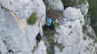 Kaybolan keçisini dronla buldu