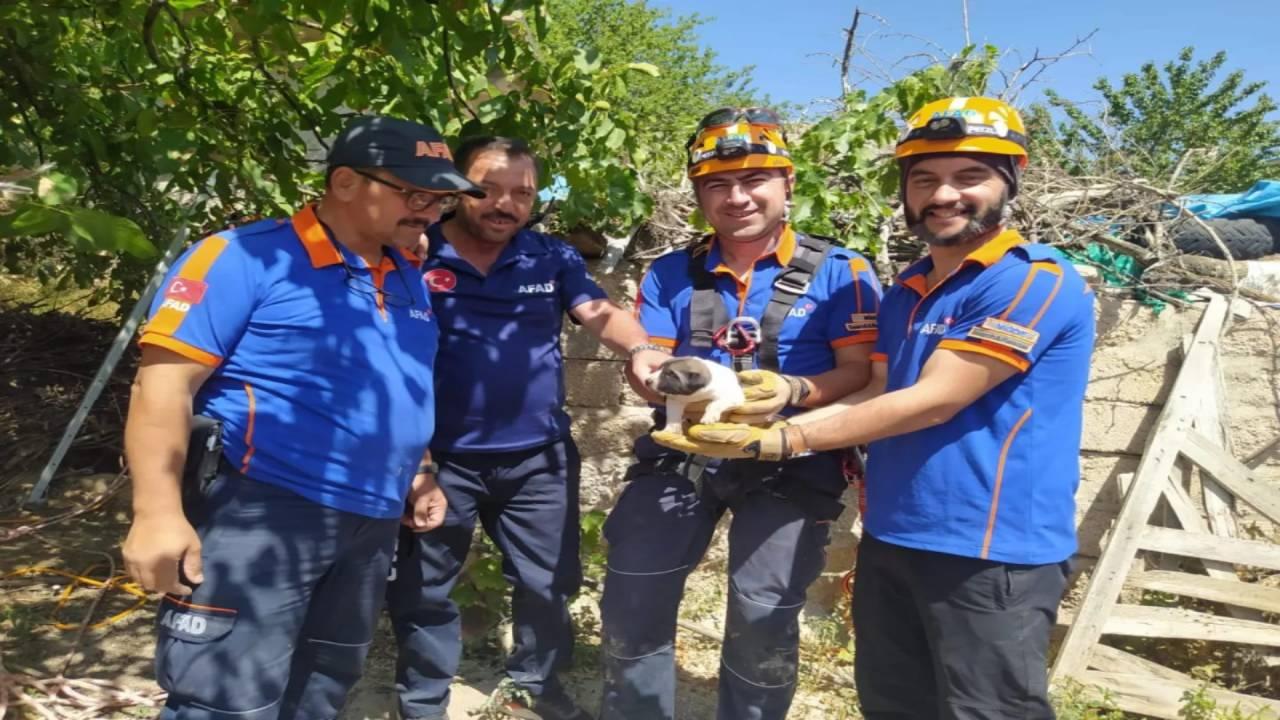 Su kuyusuna düşen köpeğin imdadına AFAD ekipleri yetişti