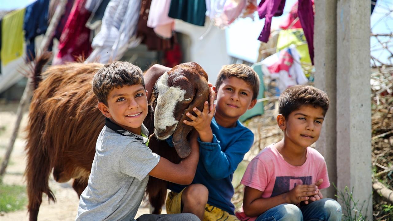 "Mobilite bir yaşamdan bahsediyoruz"