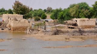 Pakistan'da muson yağmurları etkili oluyor