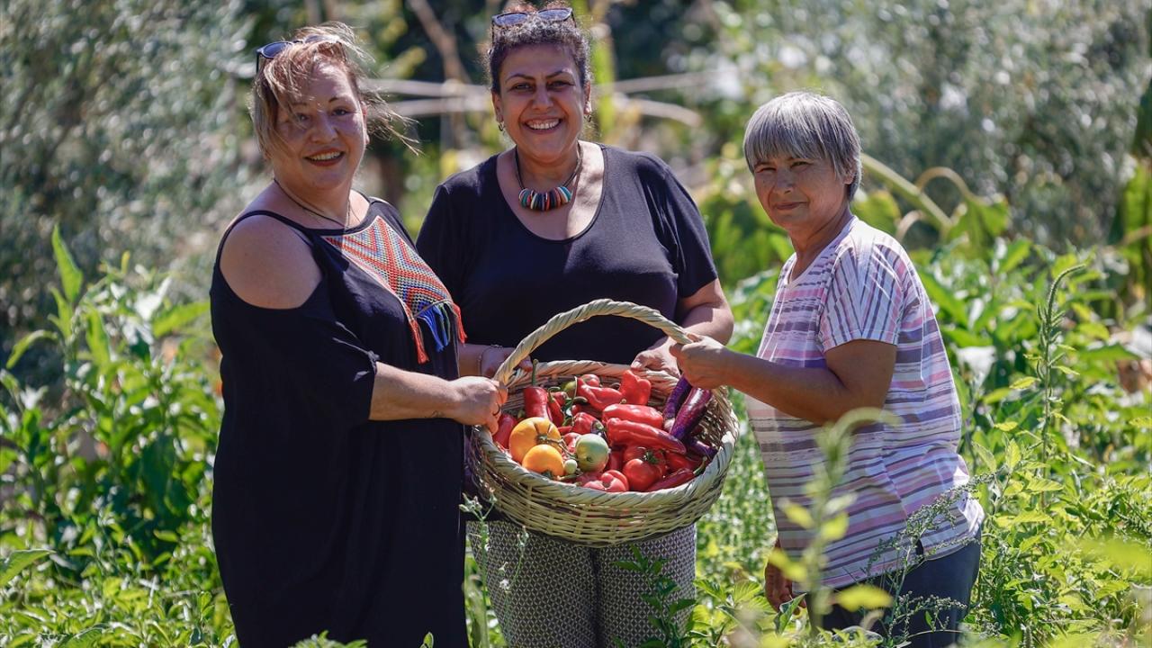 "Komşularımın bahçesine de ata tohumu ekiyorum"