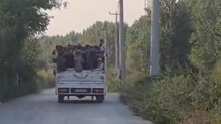 30 tarım işçisinin kamyonet kasasında tehlikeli yolculuğu