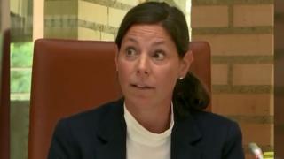 Lihtenştayn'da parlamentoda deprem tartışılırken deprem oldu