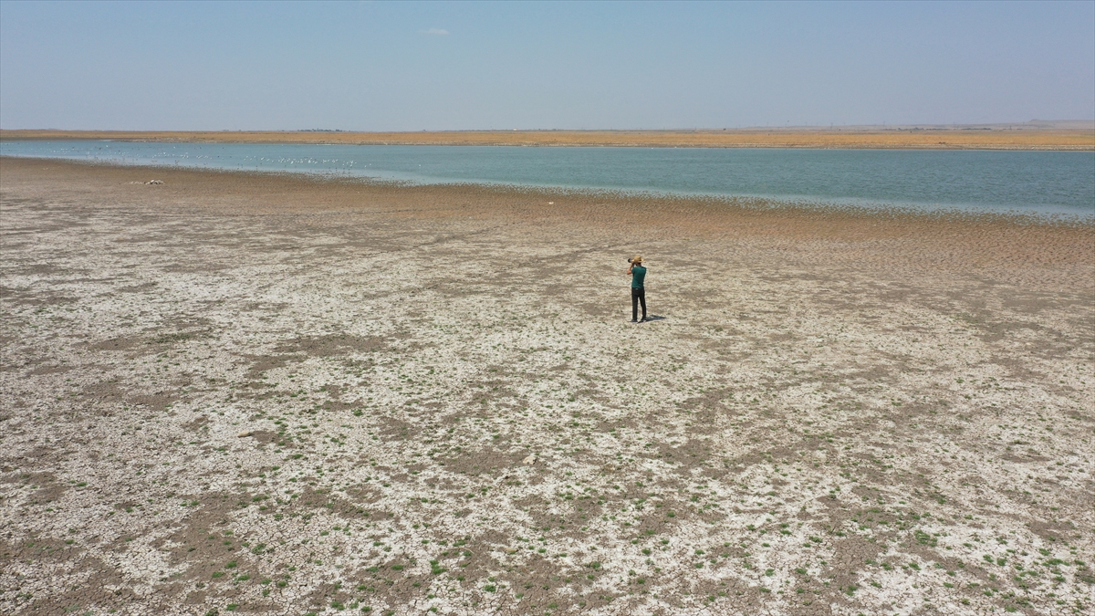 Barajdan baraja ve baraj gölünden tarımsal alanlara su transferi