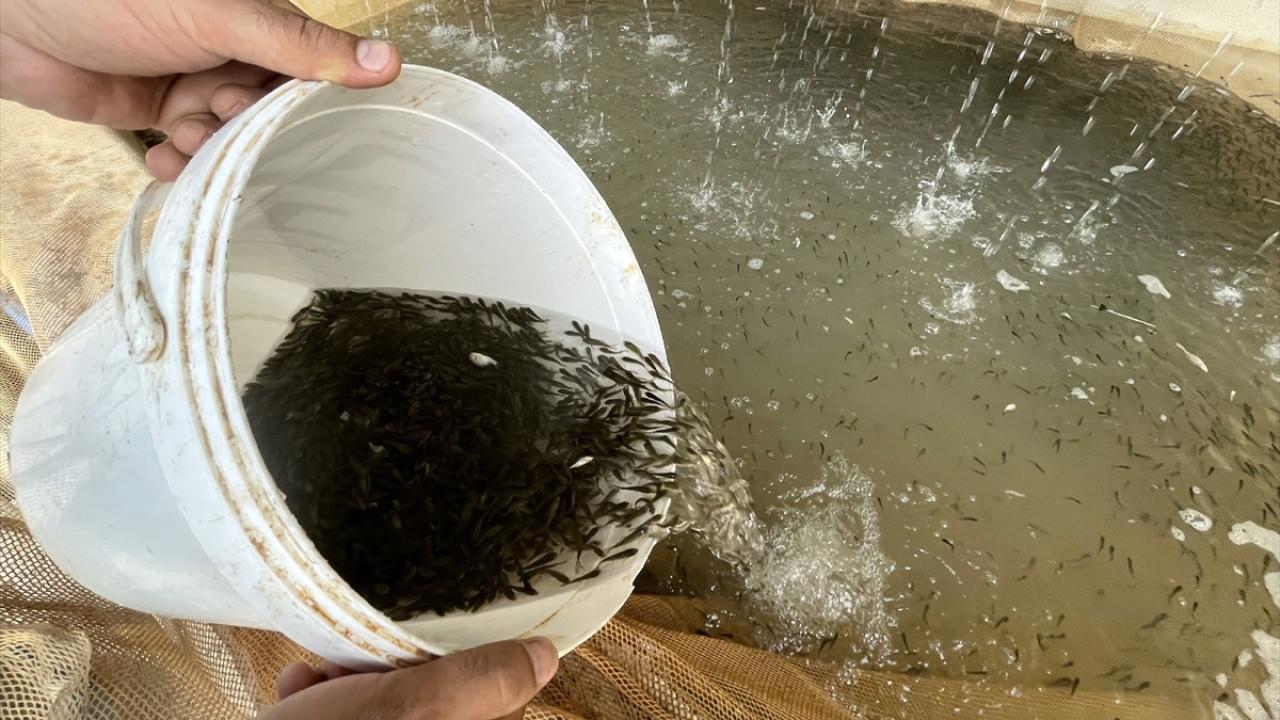 "Tesisimiz bölgede balıkçılık konusunda ana sponsoru olacak"