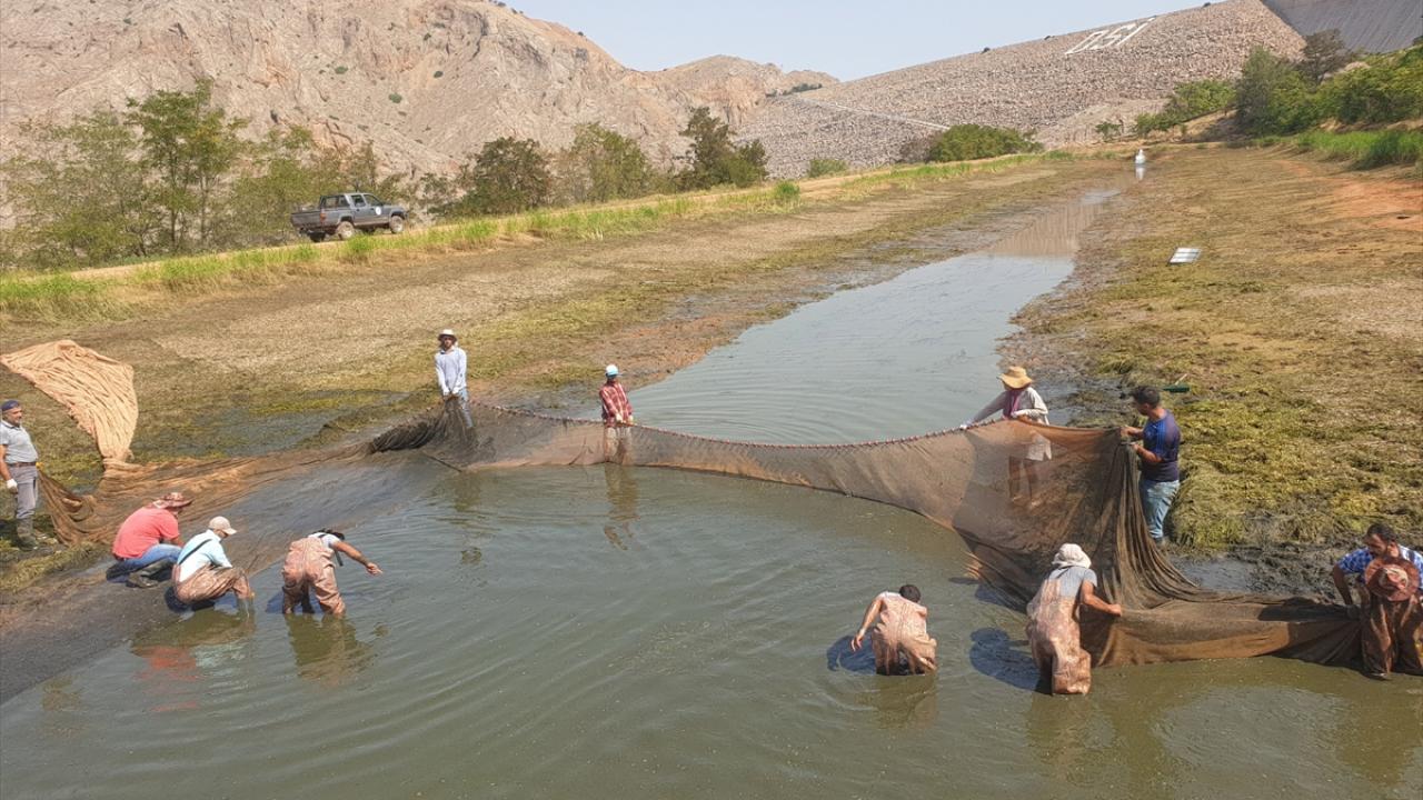 Yavru balık üretimi arttı