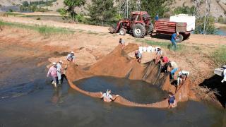 Elazığ'da üretilen 19 milyon yavru sazan Doğu'daki su kaynaklarıyla buluşturuluyor